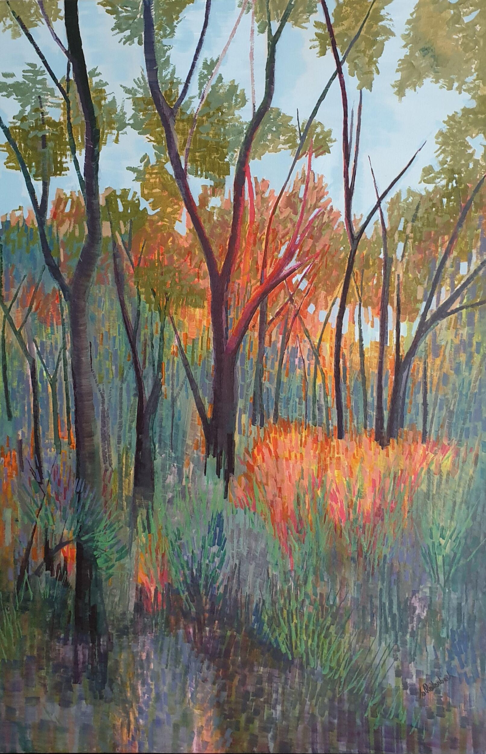 Autumn Forest
