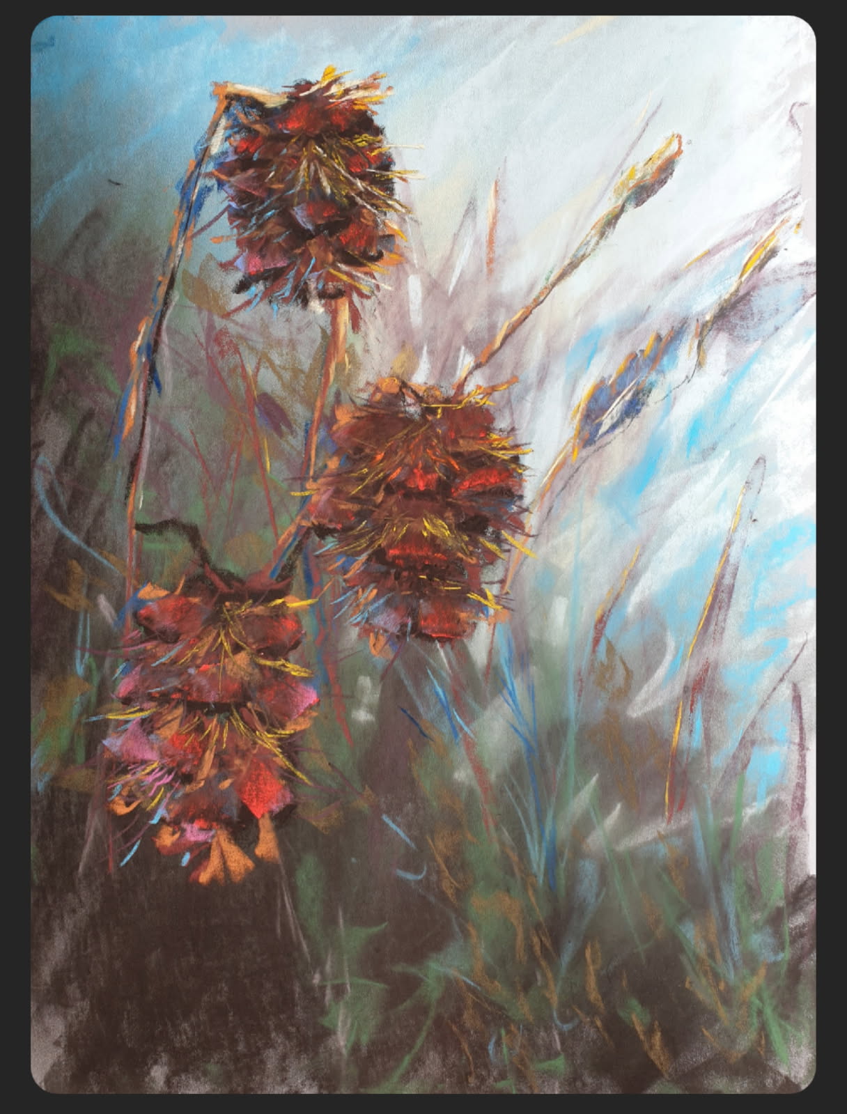 Dahlias in Motion